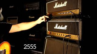 Video thumbnail for Marshall Silver Jubilee 2555 vs Marshall JCM800 2203x by Amplify