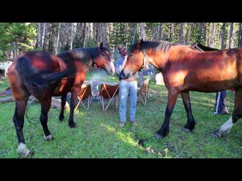 Triangle X Ranch - Pack Trips and Authentic Dude Ranch