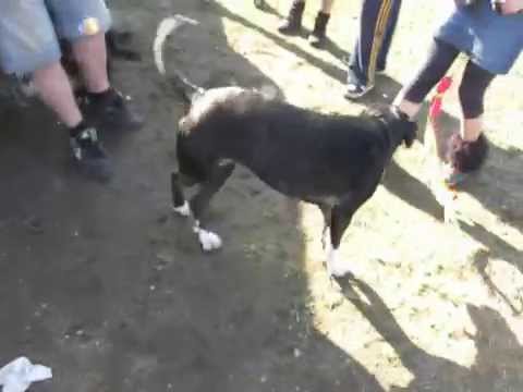 Rondom Rilland {P 10 of 10} freetek feessie _  8 maart 2015 - Soundsystem JWW