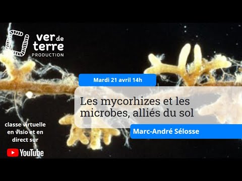 , title : 'Les mycorhizes et les microbes, alliés du sol, avec Marc-André Sélosse'