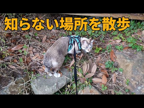 Walking in unknown places