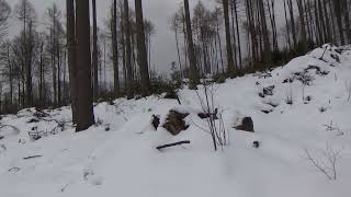 Victory is Mine (Virgin Steele vocal cover, live from the snowy forest)