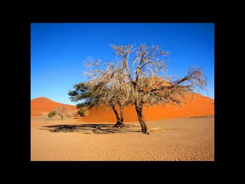 Xpansul - Vuelva Usted Manana