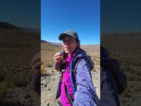 como puede ser que no conozca antes este lugar de Jujuy! hoy 20.30 video largo! #cusicusi