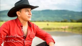 Video La Del Busito Floriao (Audio) de Leandro Dimas