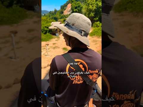 تايلاند لهجات اهل الخليج 🤣