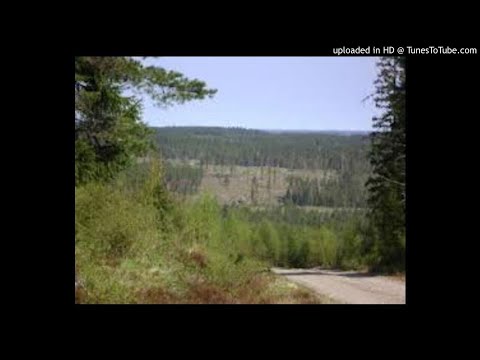 Anna Änglavinge - Frågor Till Far