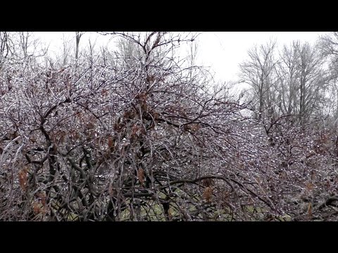 01-25-2021 West Chester, OH - Rain changing To Ice