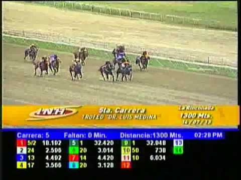 Resumen Domingo,14 de Julio de 2013 - La Rinconada