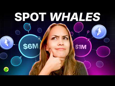 Don’t Buy Crypto Before Doing This!! How to DYOR With Bubblemaps