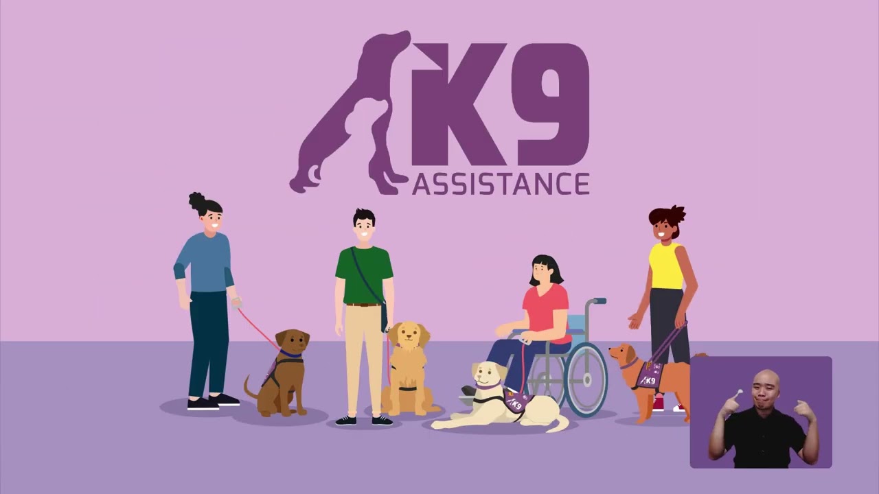 A Day in the Life: An Assistance Dog's Experience
