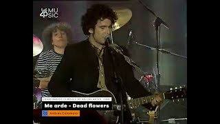 Andrés Calamaro - Me arde/Dead flowers (Círculo de Bellas Artes de Madrid 1999)
