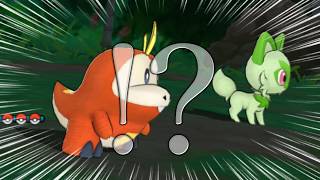 誰も知らないアローラ地方へ【ポケモンUSUM:Expansion+DoublesEdition】