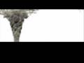 Tornado 3D 1