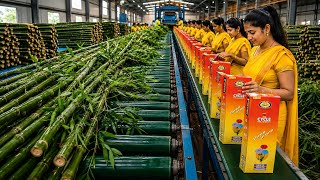 Inside Cycle Pure Agarbathies Factory | Complete Agarbatti Manufacturing Process Step by Step