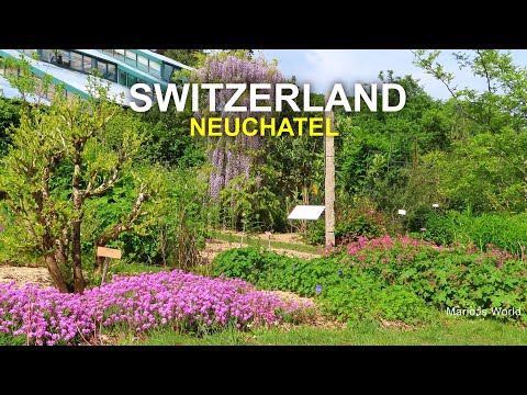 Les incontournables de la Suisse 🇨🇭 La charmante ville suisse de Neuchâtel