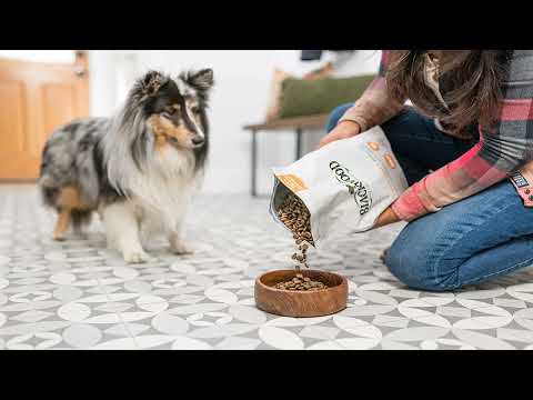 Blackwood Pet Food 22301 Toutes les étapes de la vie, régime spécial, peau sensible, farine de saumo