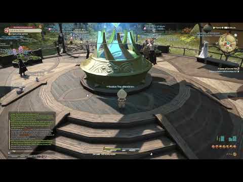 Quest 252 - A Game of Cat and Fish (FSH Lv25) #1QAD #FFXIV