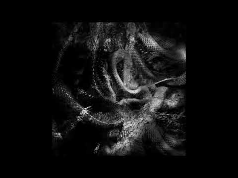 Hålbå - Invisible War [SHI001]