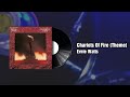 Chariots Of Fire Theme - Ernie Watts (1982)