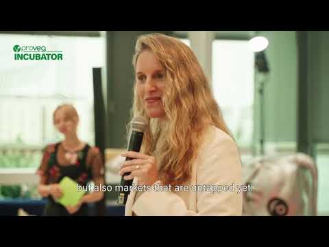 ProVeg Incubator - Our work