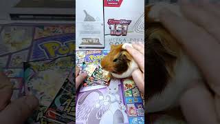 Tajný trick jak najít vzácnou Pokémon kartu!🔥