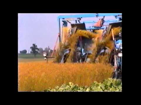 Loonw. Decrock - Watou