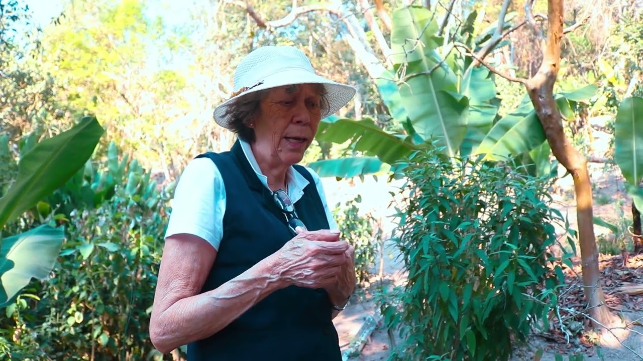 SANGUE SUJO E GROSSO - SAIBA O QUE FAZER PARA LIMPAR