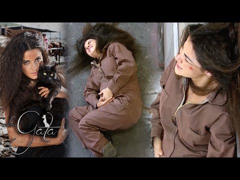 The Cat - Chapter 12: Esmeralda suffers an accident! | Tlnovelas