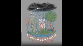 Rainscapes Save Water ~ Shannon Brown 6 2021