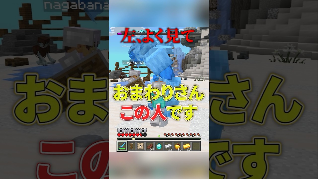 マイクラ参加型の衝撃の瞬間がこれだ笑 #マイクラ