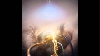 The Perfect Embodiment - The Agonist