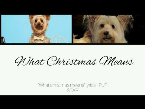 "What Christmas Means" lyrics - PUP STAR
