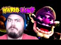WARIO IS HAUNTING AN AMUSEMENT PARK Five Nights At Wario S Wario Land Normal Mode Demo