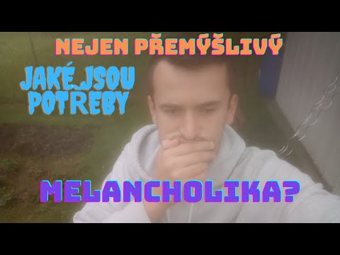 Víš OPRAVDU, kdo je melancholik?