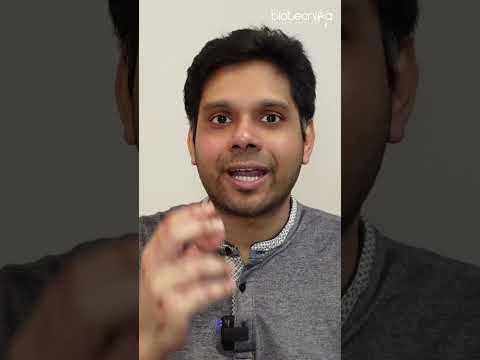 Wie meistert man ein Vorstellungsgespräch im Biotechnologiebereich auf Anhieb? #interview #biotec...