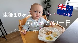 【生後10ヶ月】赤ちゃんの一日 に密着♡いろんなことができるようになったよ！海外生活｜ニュージーランド｜国際結婚｜海外子育て｜国際ファミリー