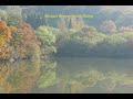 Michael Hoppe : Jude's Theme