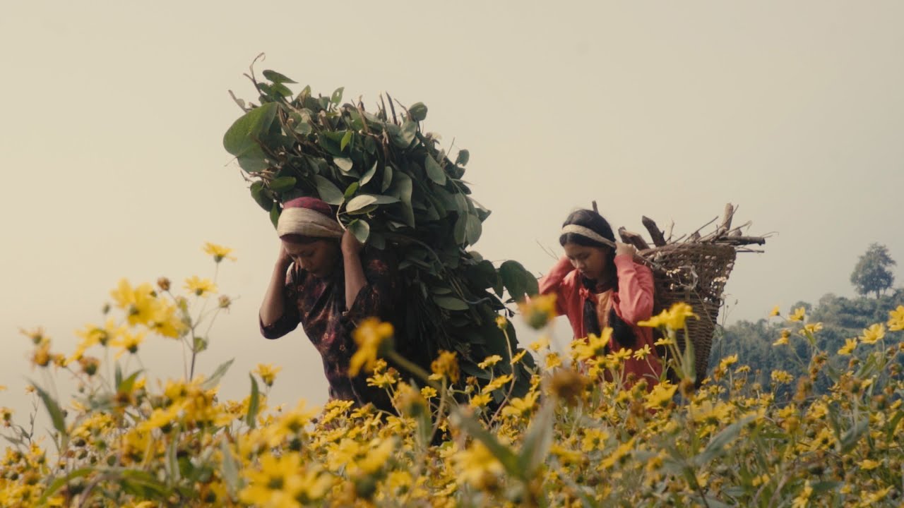 Baisako Laali | Official Music Video | Aikyam