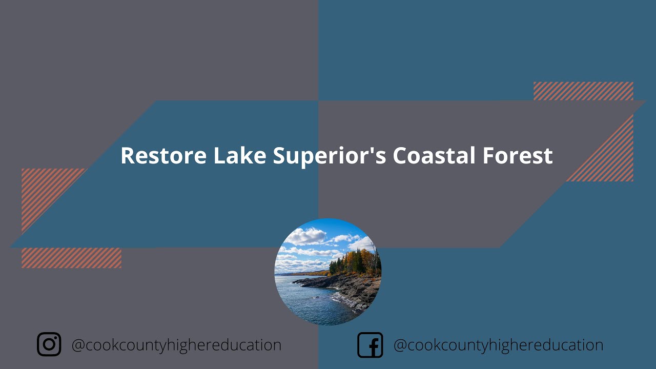 Restore Lake Superior's Coastal Forest