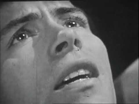 Olivier Despax: J'ai retrouvé la mer (1965)