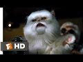 Cats Dogs 8 10 Movie CLIP Mr Tinkles Fires Everyone 2001 HD