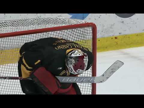 Ervins Mustukovs  season 2019-2020 HK OLIMP. Latvian Hockey League (OHL) Highlights