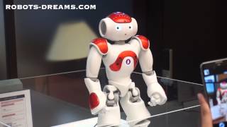 NAO Robot Goes to Work in a Japanese Bank
