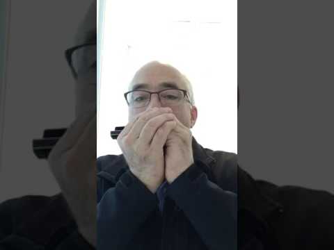 Lucky 13 Bass Blues Harmonica