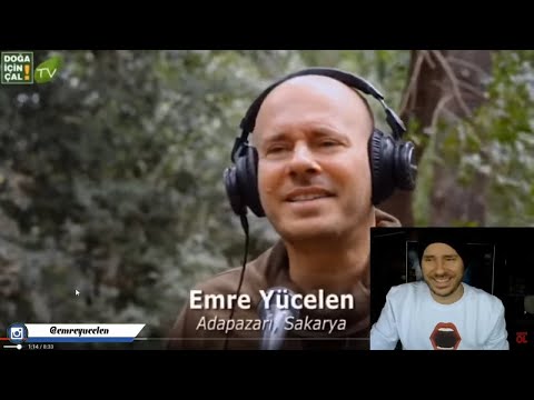 Doğa İçin Çal Ses Analizi 10 (Tam Kadro Analiz)