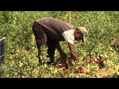 Ljudi i moć 109 - Crveno zlato Italije - Subota 17:30