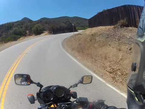 Mulholland Snake From Rock Store 8-16