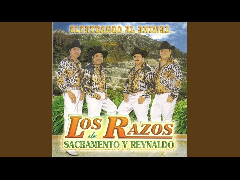 Echele Gordas al Perro