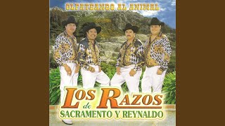 Echele Gordas al Perro